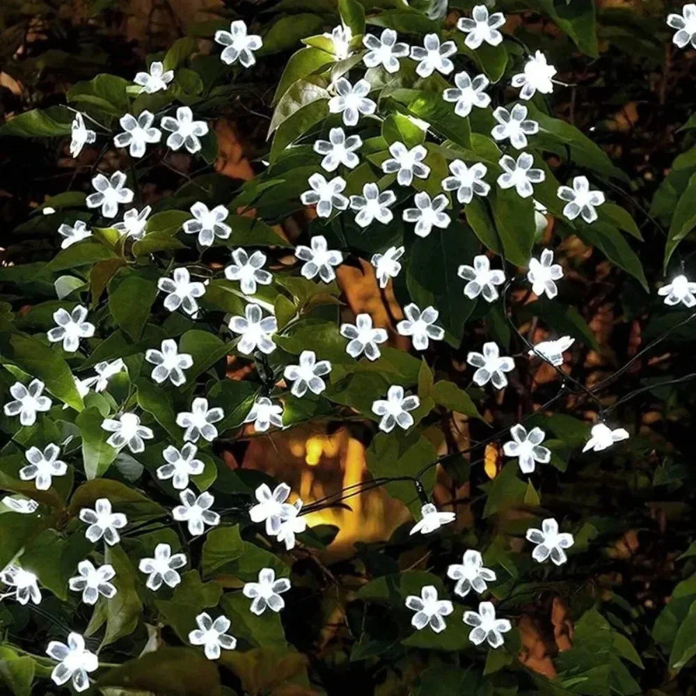 Solar Cherry Garden Flower Lig - Solar String Lights Outdoor 20M review and price